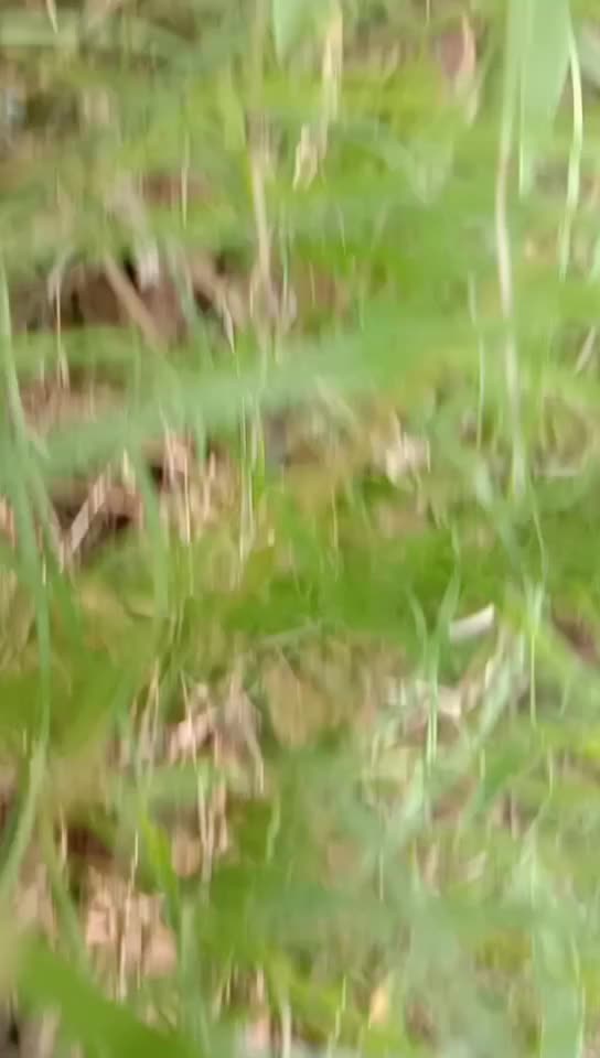 @Gadhavi raj