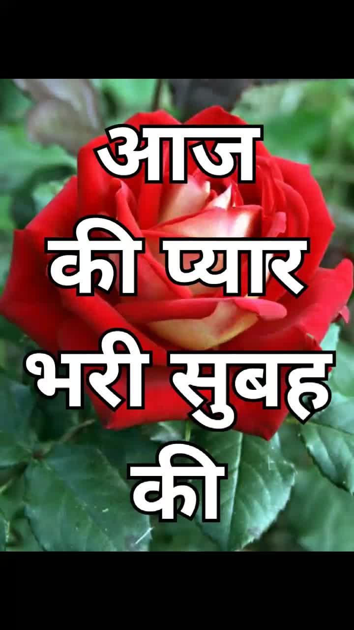 @Mr_Kc_Chandel