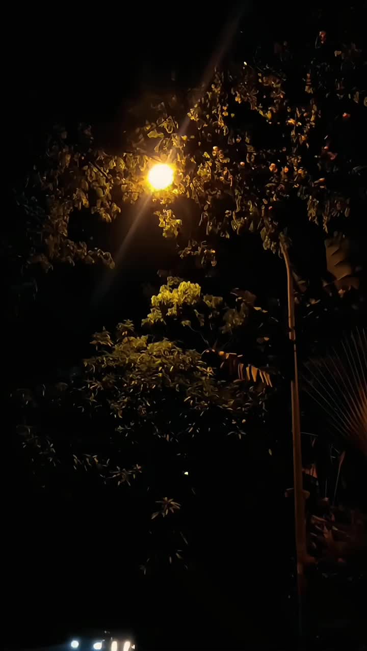 @Rizyu.