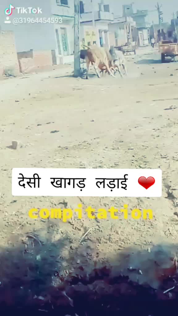 @sahil pandit munana