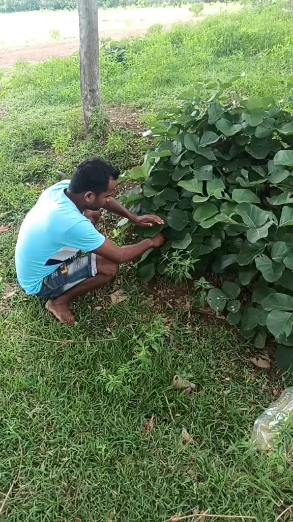@Raju@9776