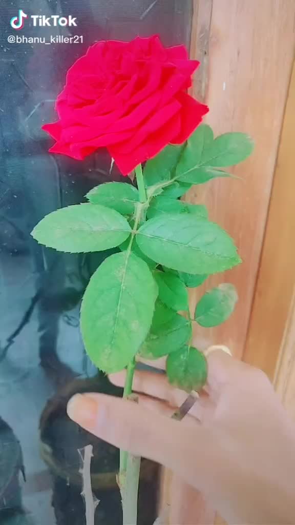 @babukakaragiri