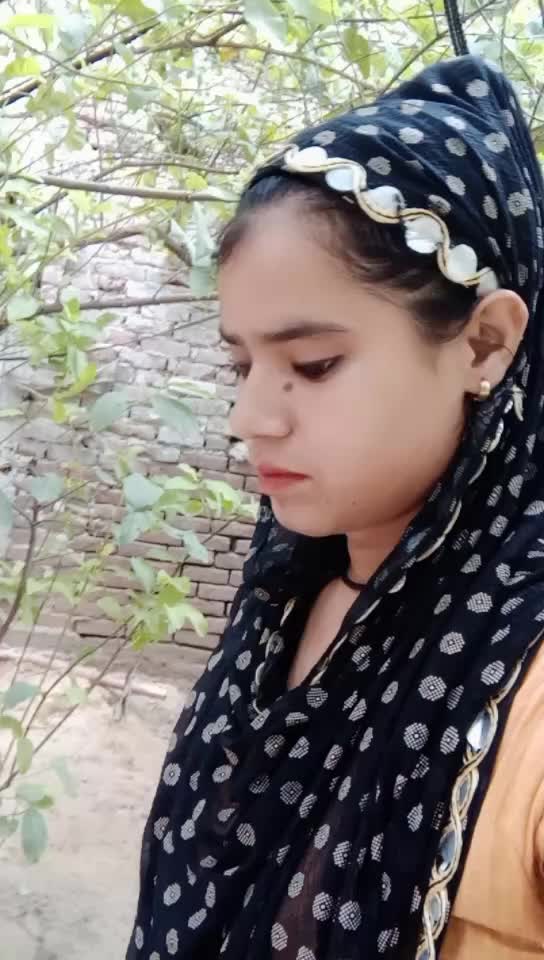 @seema kureshi