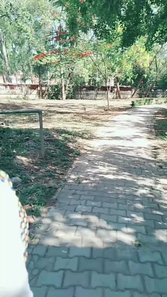 @Muskan Narula