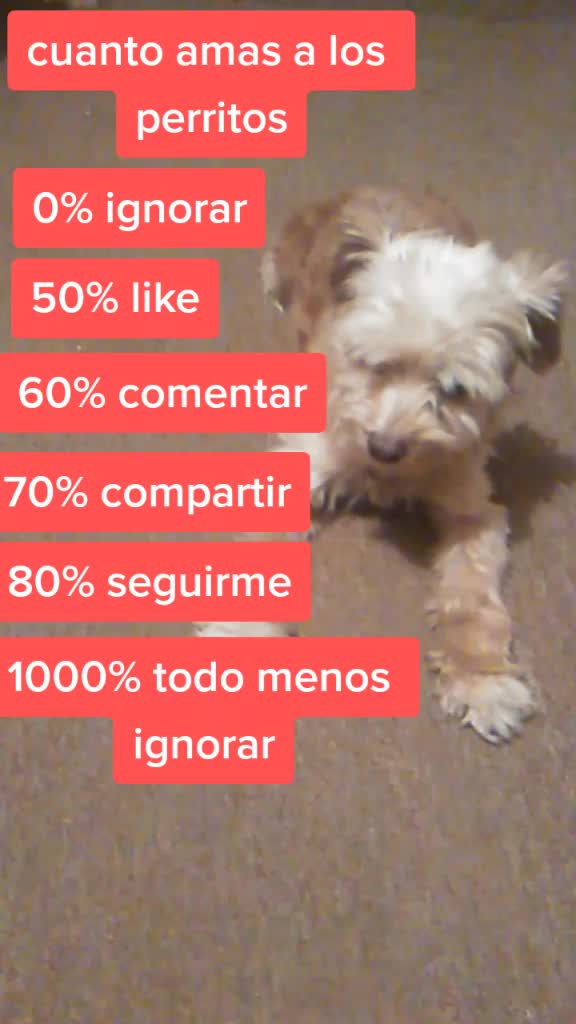 @Naomi Cruz