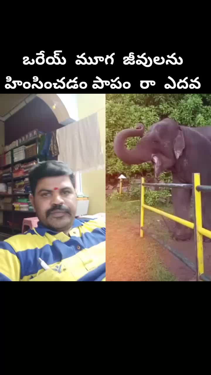 @వంశీ