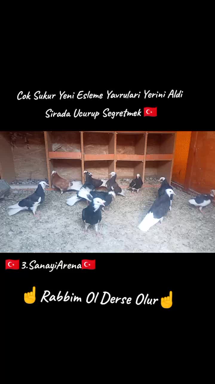 @İsmail Sarıteke