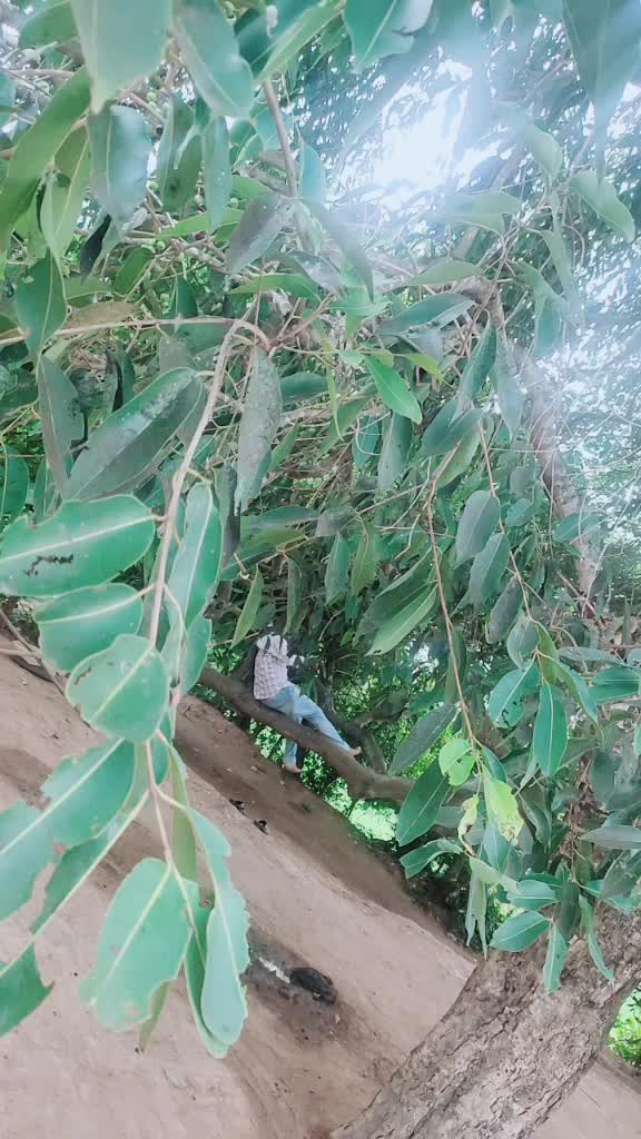 @ప్రగడ దుర్గా ప్రసాద్