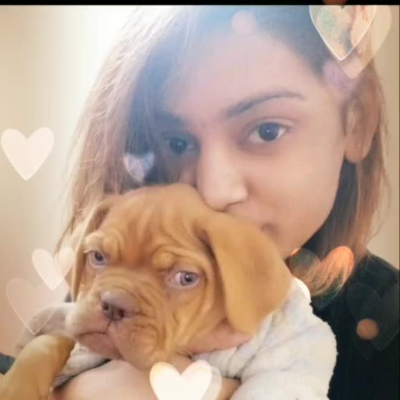 @Ekaspreet kaur😊