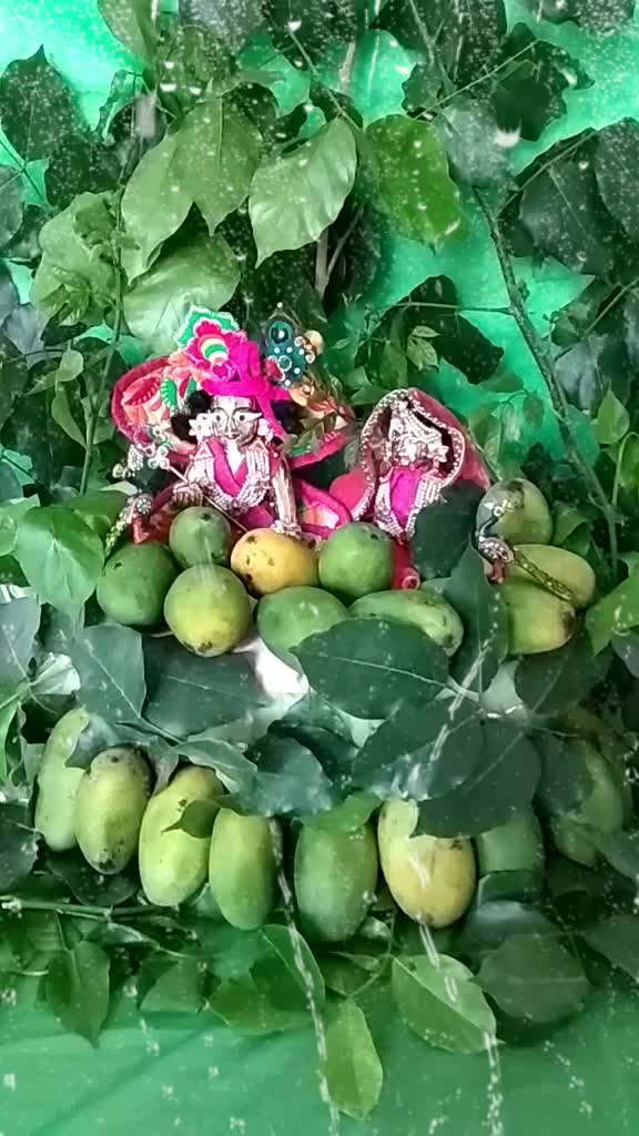 @Gaurav Krishna Das