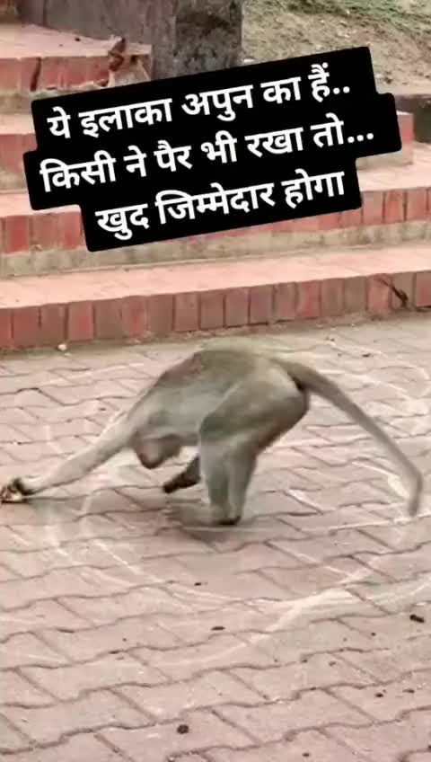 @tannu3133