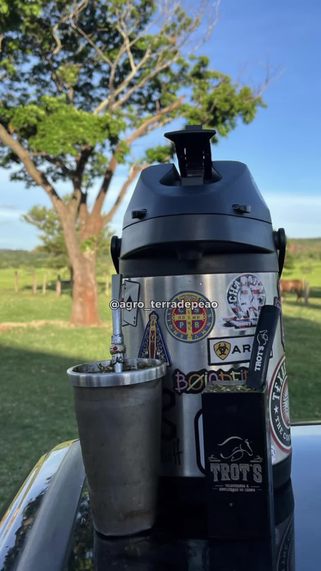 @Agro_terradepeao