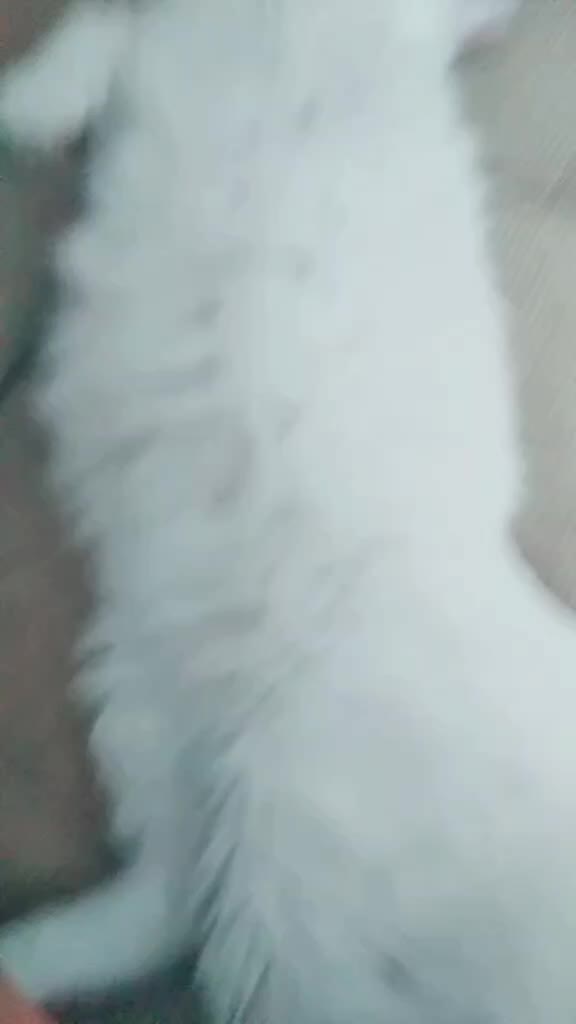 @Minalfa