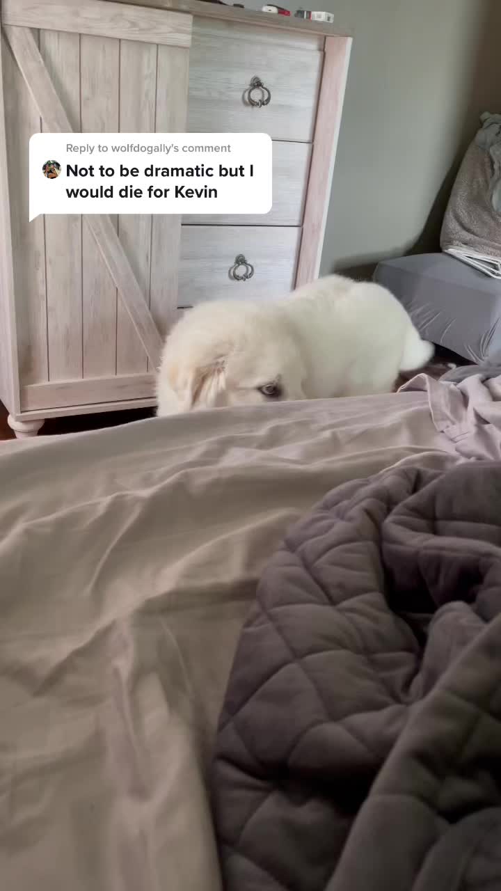 @Tori