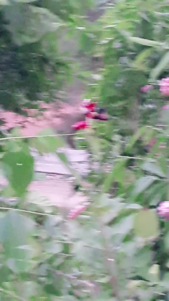 @Harish Daasa