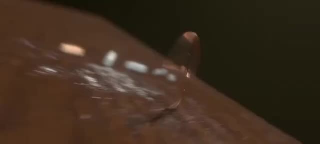 @Divyasree