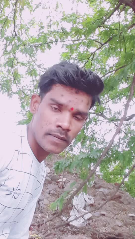 @pillu