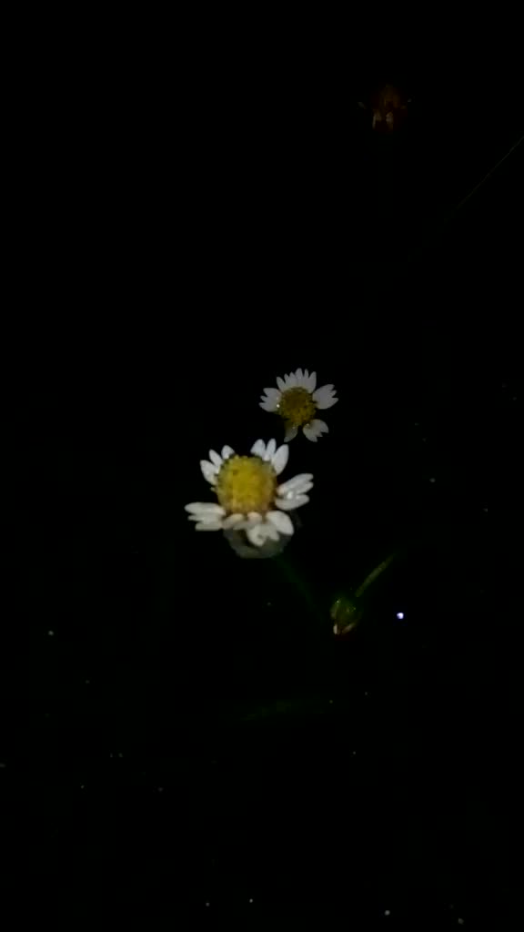 @BharathBunny713
