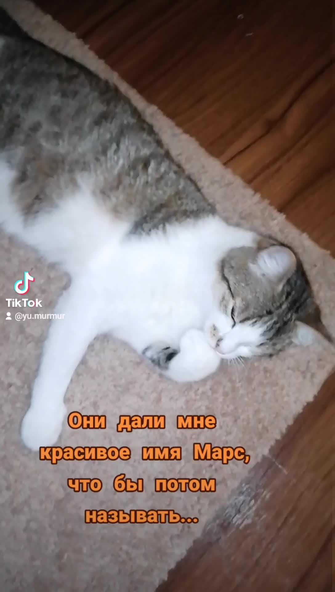 @Мурка