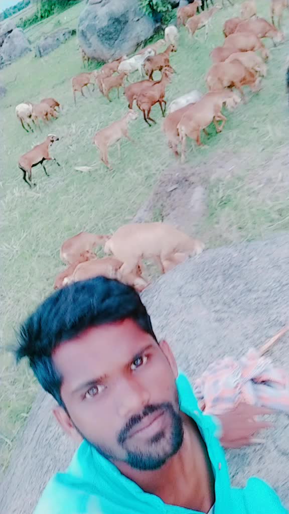 @Bellam Harish