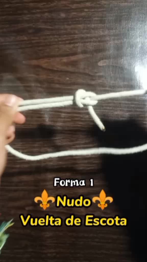 @Jesus Antonio Zamora
