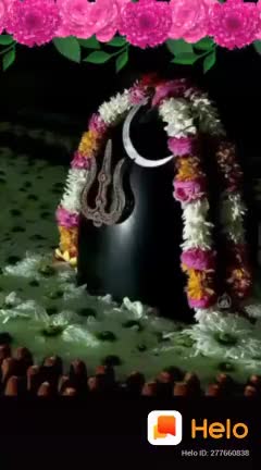 @https://vm.tiktok.co
