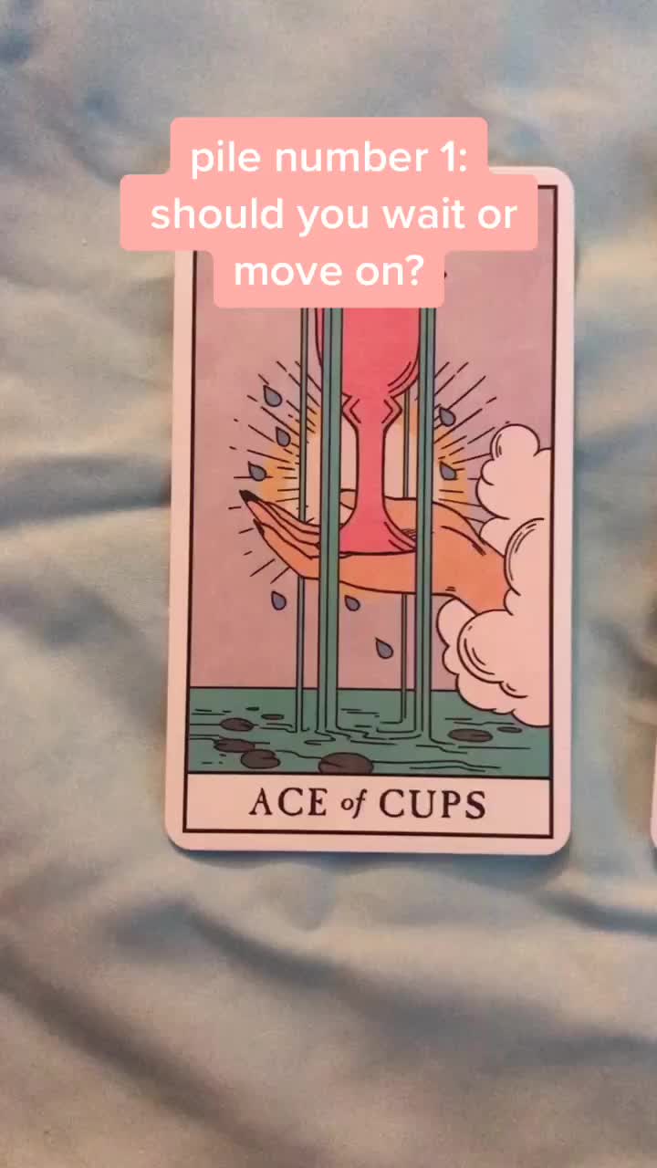 @sunflower tarot 🌻