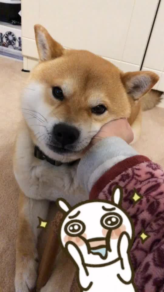 @Mochi.Shogun