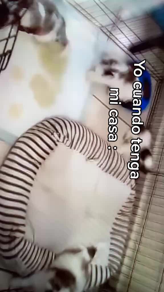 @🫶🏼