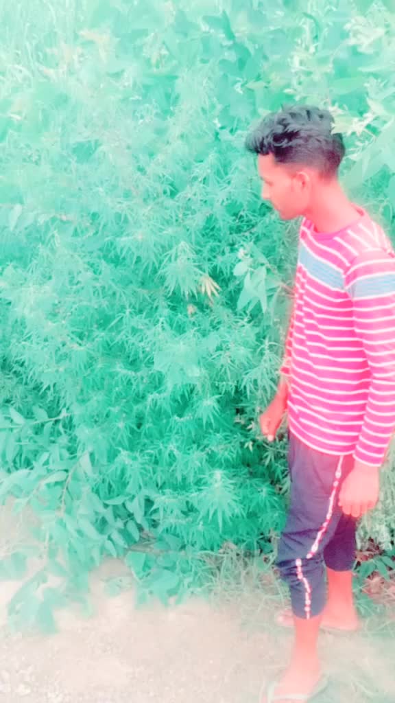 @Nirvendr Singh