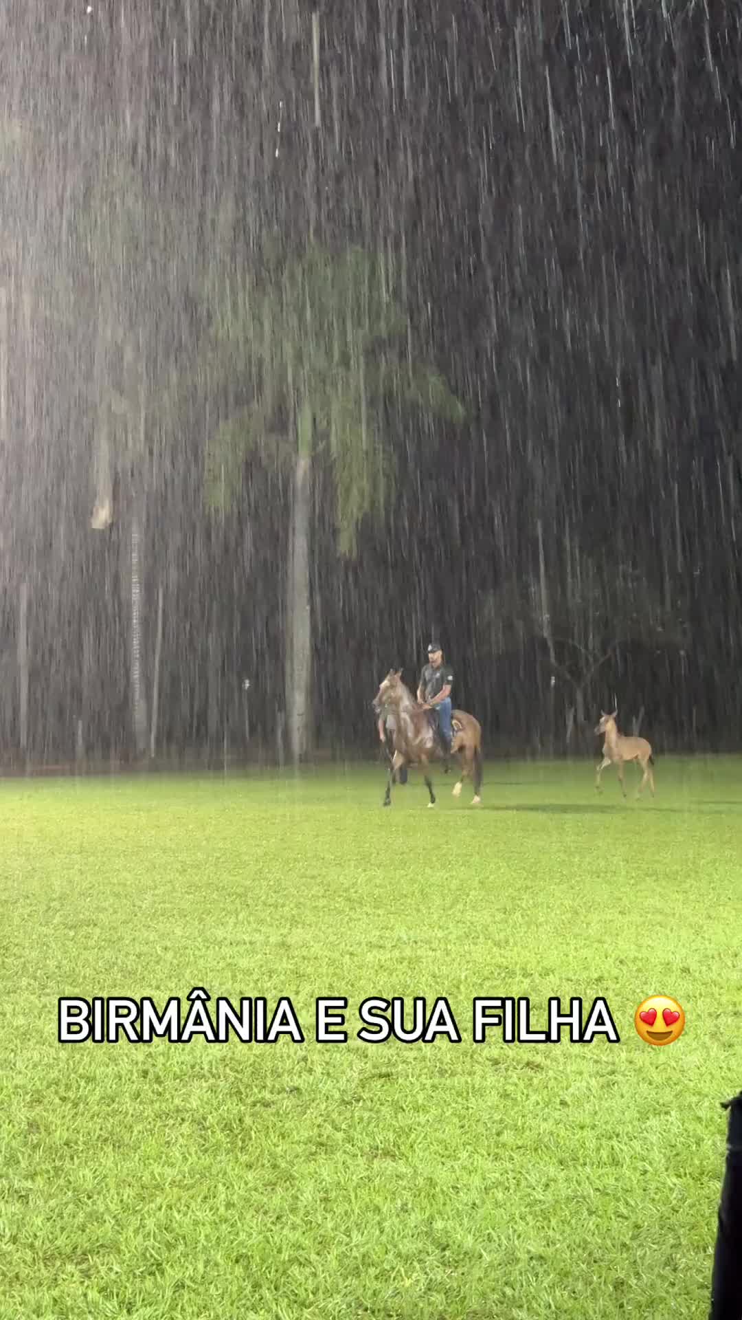 @Portal Marchador