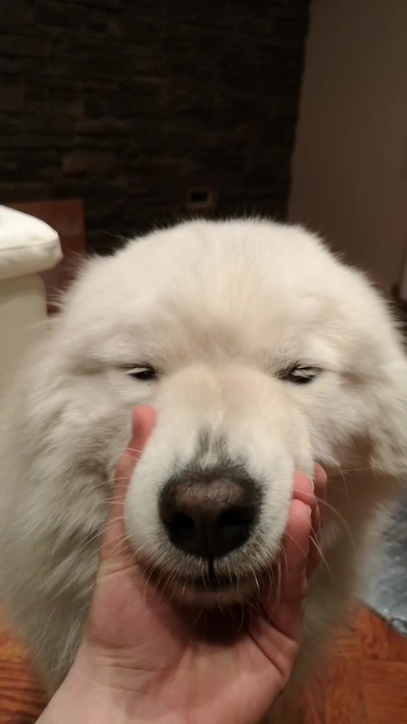 @daily.dose.of.archie