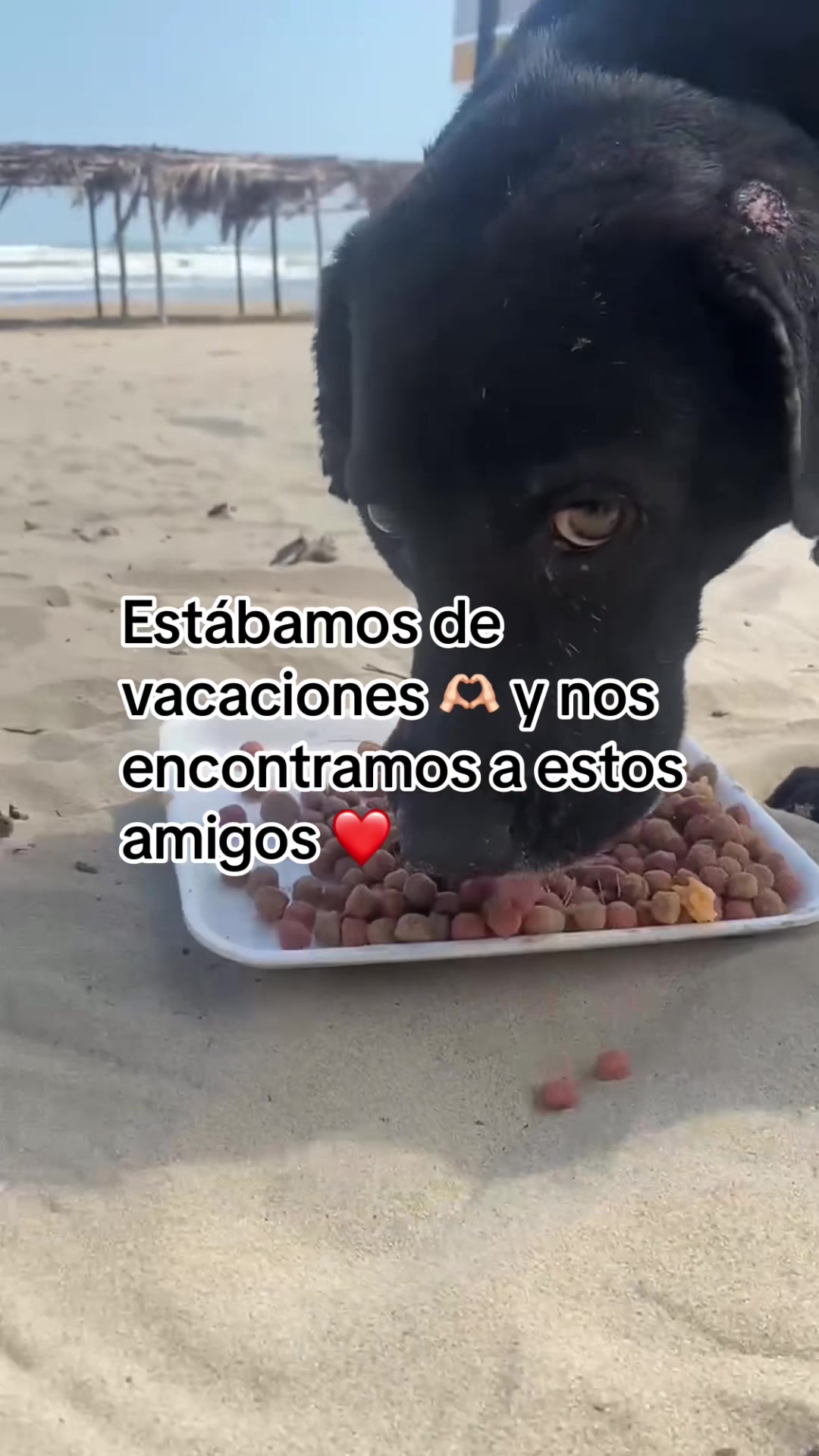 @R3yMag0