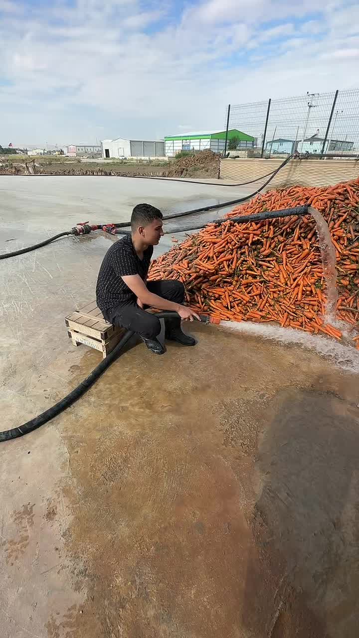 @Kasım Sarıbacak