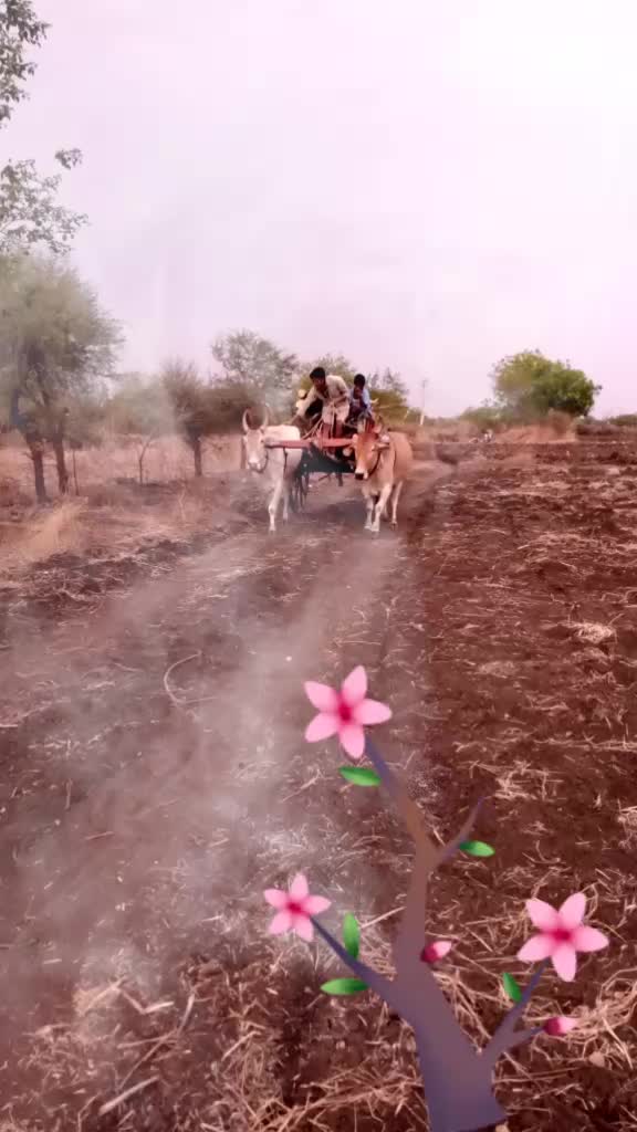 @Sachin Patil