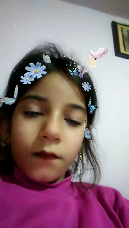 @Hiba Habus