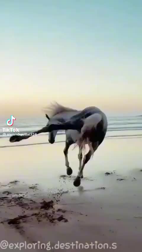 @Paula Nahir Mohamed