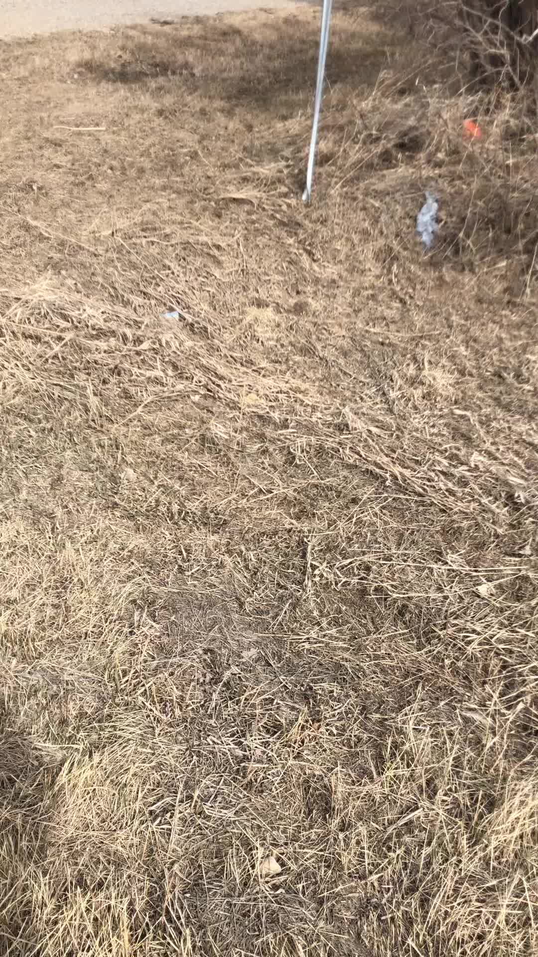 @FarmsAndWreckreation