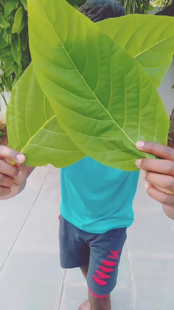@venu pasula