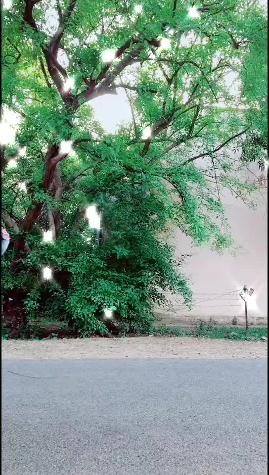 @Harry_hkk_3205