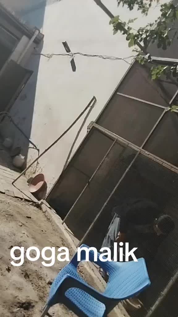 @گوگا ملک