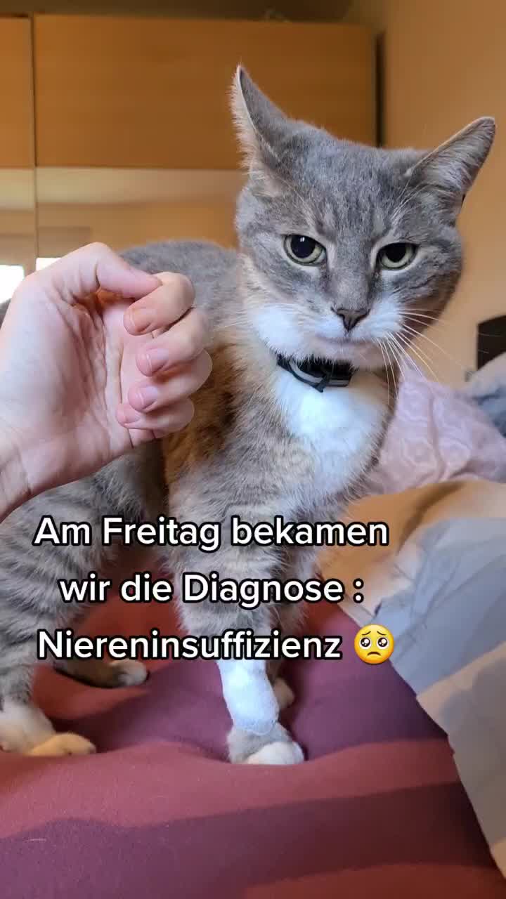 @T/E