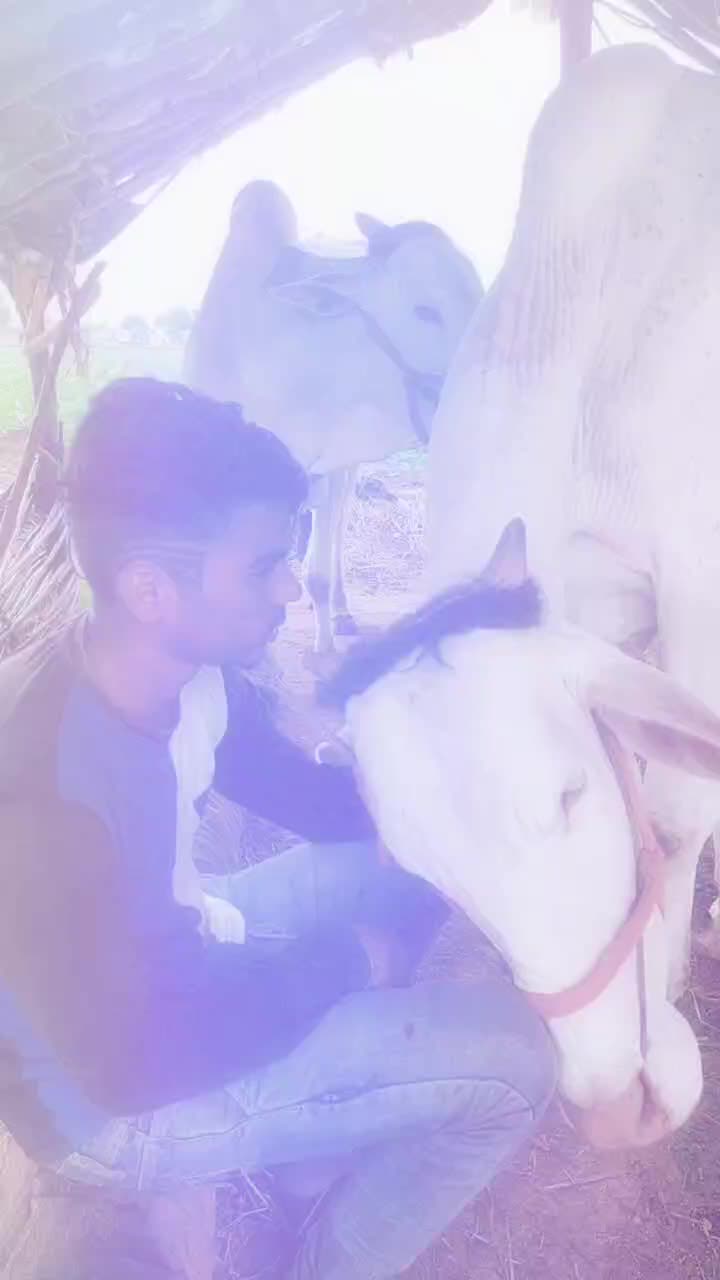 @Shetti Eashwar Eashw