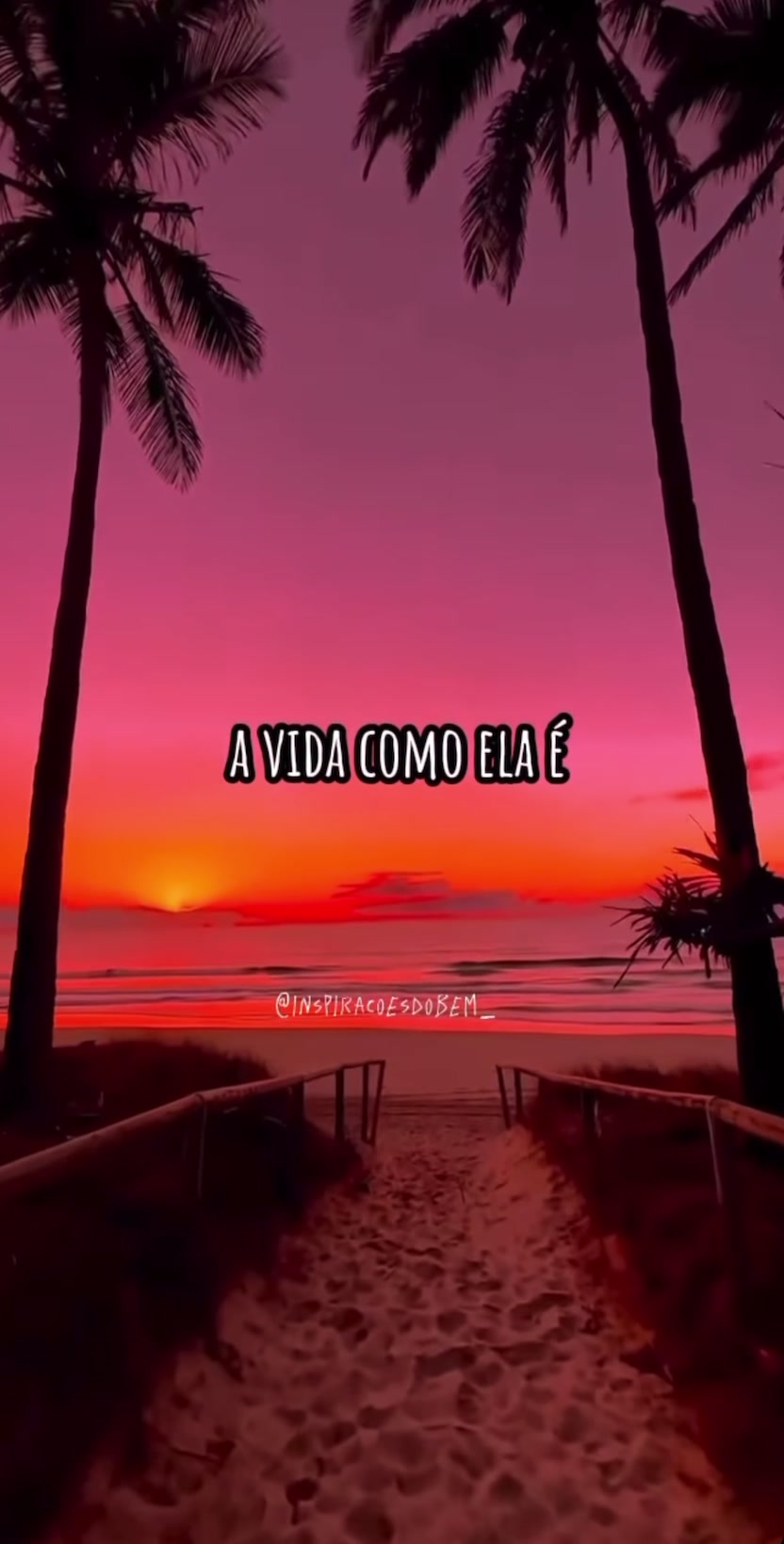 @Reeh Alves