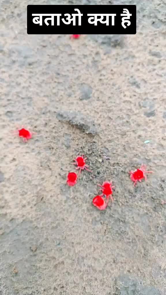 @Dheeru__GurJar