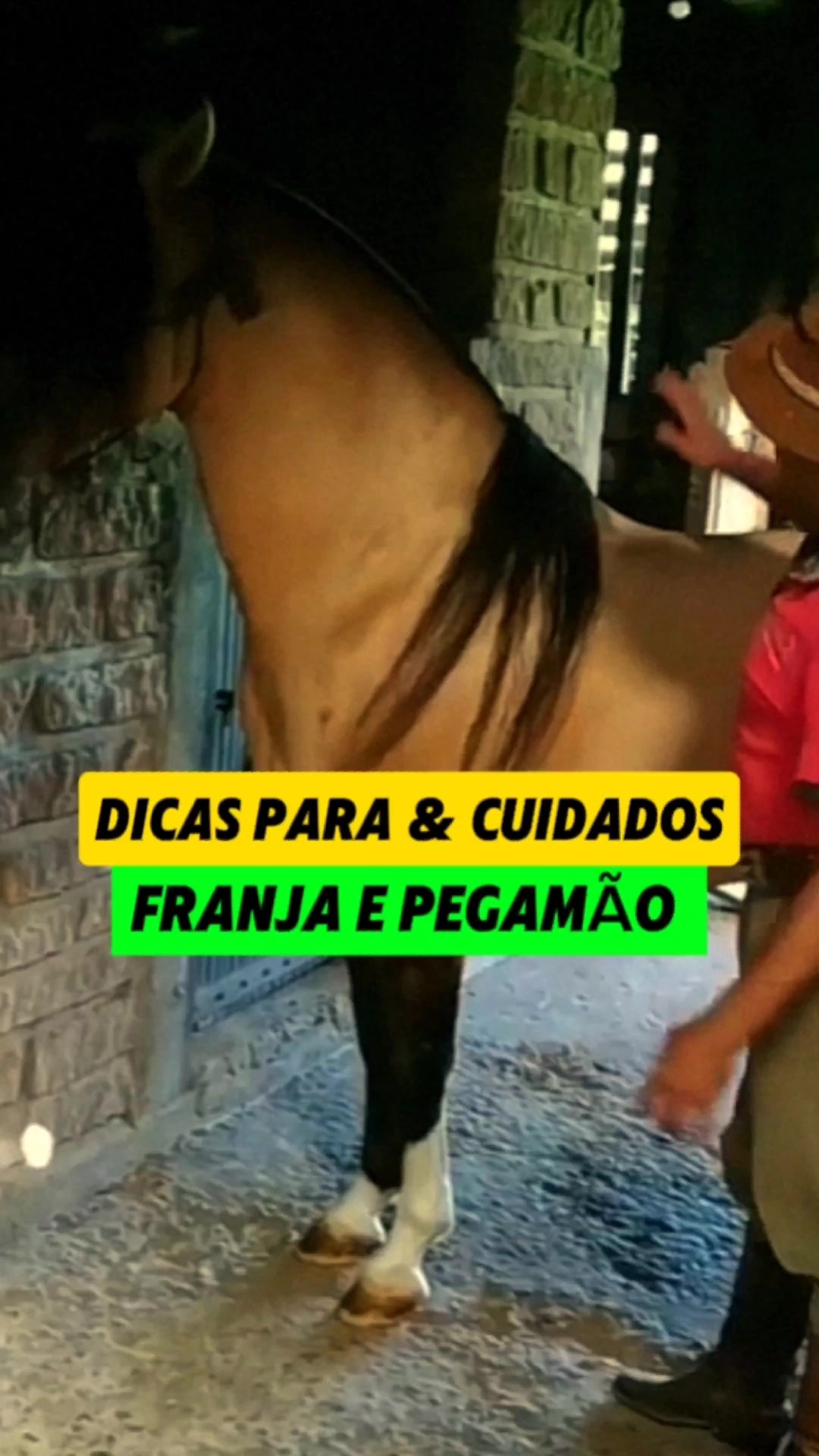 @João Antônio Rupp