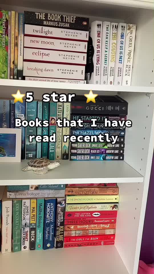 @Haroldstylesfan