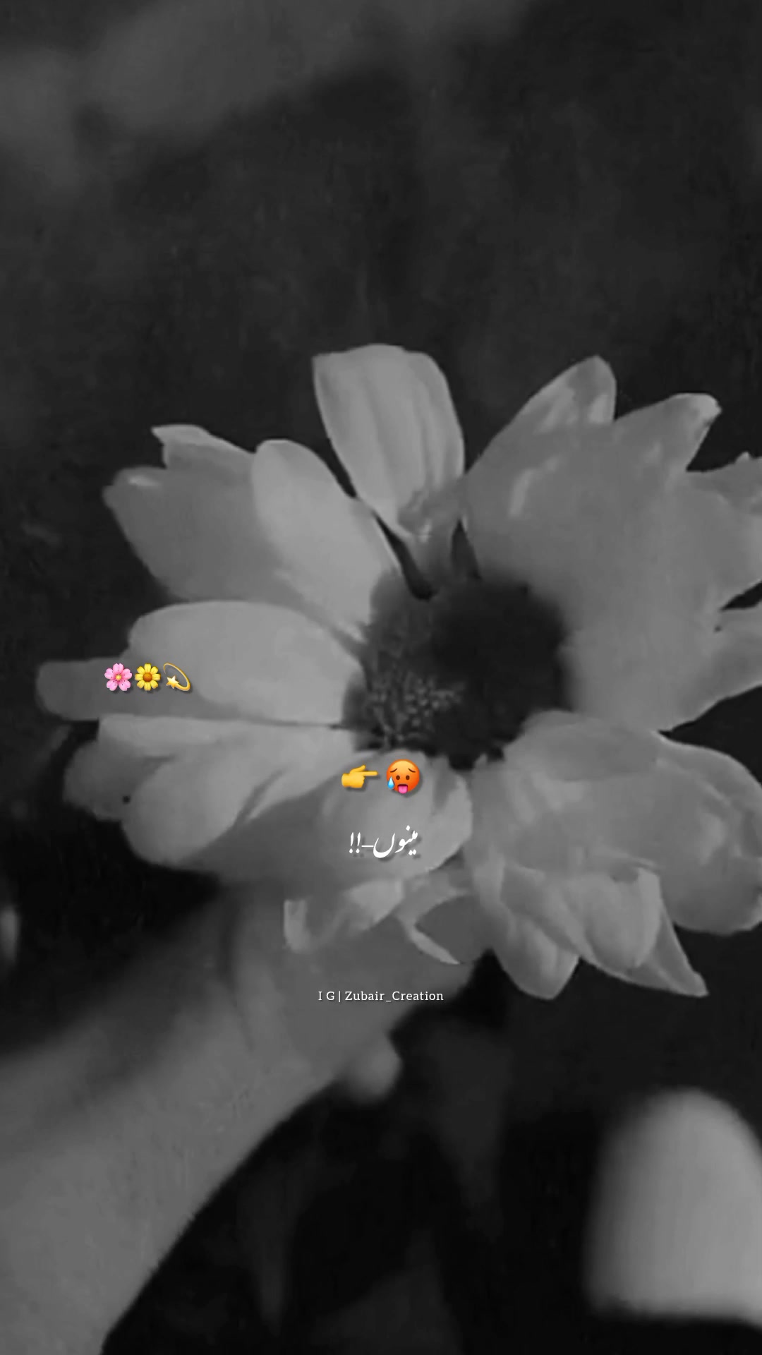 @Zubair_Creation