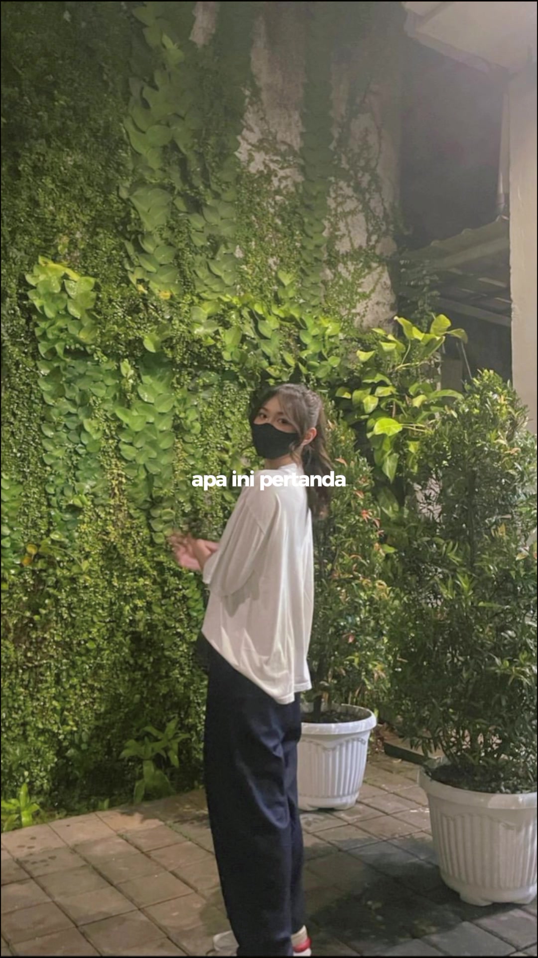 @cheese nut