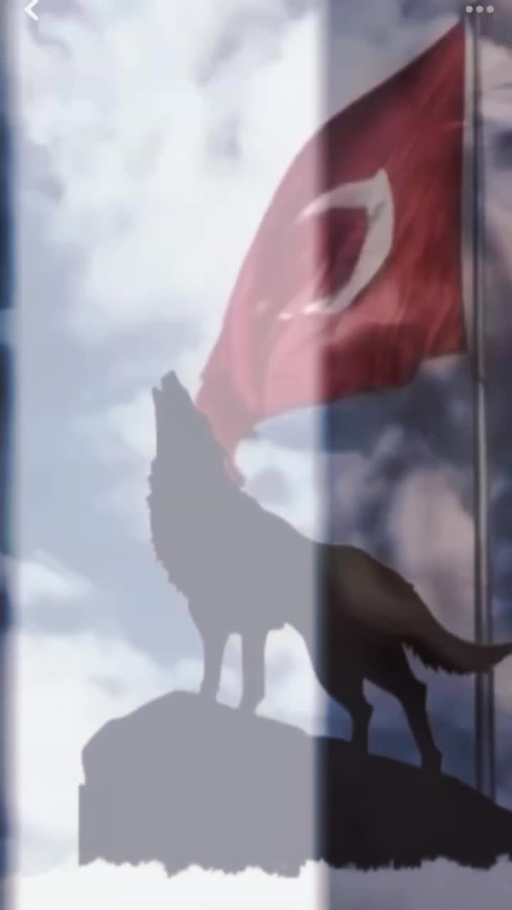 @Hilal Bakışlı